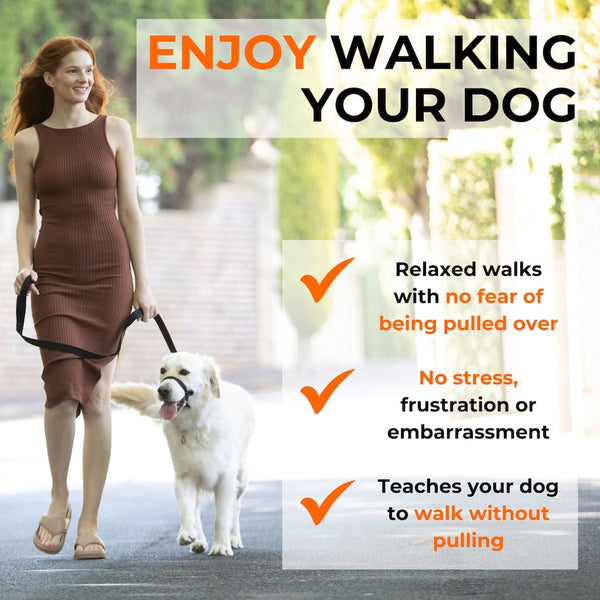 Woman walking dog with head collar, promoting relaxed, no-pull walks with less stress and more control.