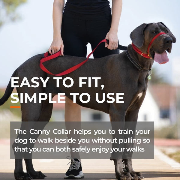 Large dog wearing red head collar beside owner, text highlights easy fit and no-pull training for calm walks.