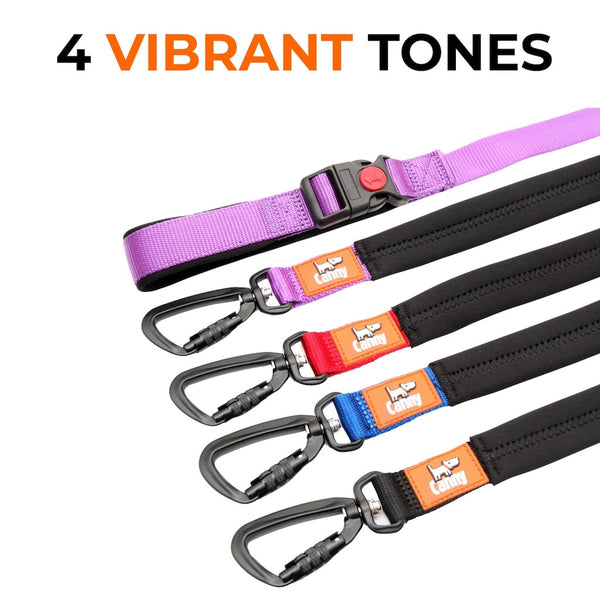 Canny Connect anti-escape lead shown in 4 colour options—purple, red, blue, and black—all with black locking carabiner and orange Canny logo.