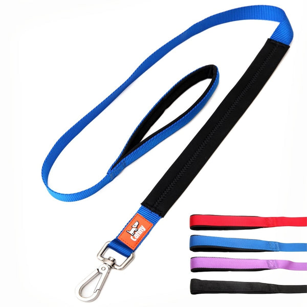 Blue 25mm wide Canny no pull lead for medium to large dogs, soft padded grip and handle, steel clip and swatch bar with four available colours.