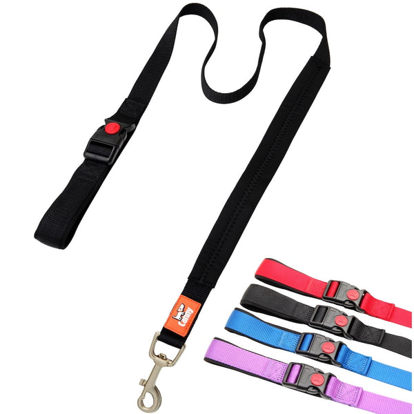 Canny CONNECT Lead - Previous Handle Version