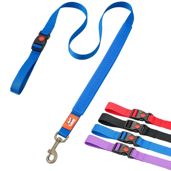 Canny CONNECT Lead - Previous Handle Version