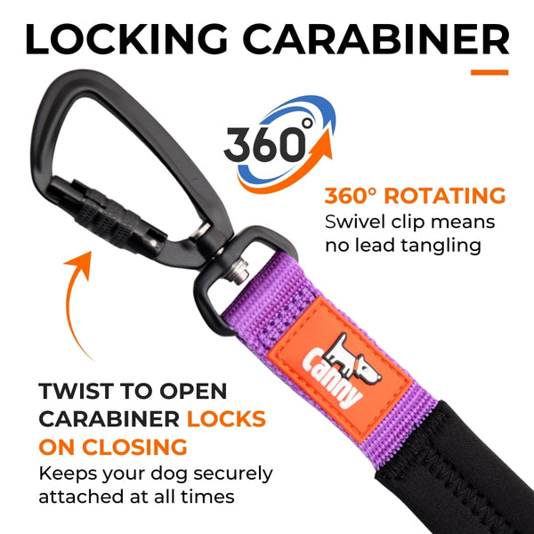 Purple dog lead with lockable carabiner clip