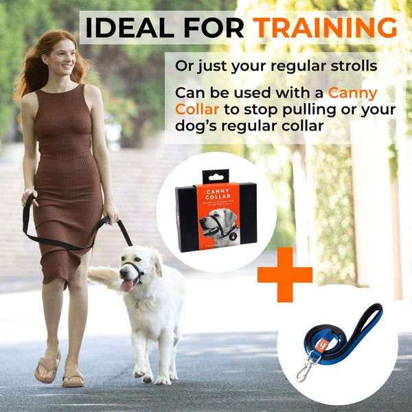 Woman walking Golden Retriever on black Canny Collar and lead