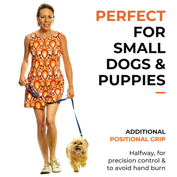 Canny CONNECT Lead - Previous Handle Version