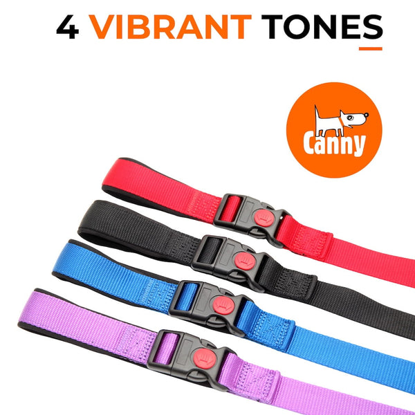 Canny CONNECT Lead - Previous Handle Version