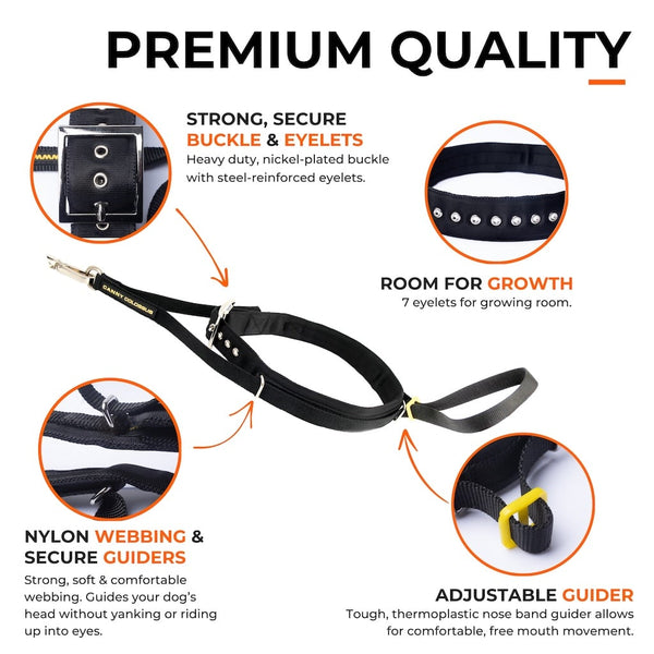 Close-up of black Canny Colossus showing secure buckle, D-rings, soft webbing, and adjustable guider for dog comfort.