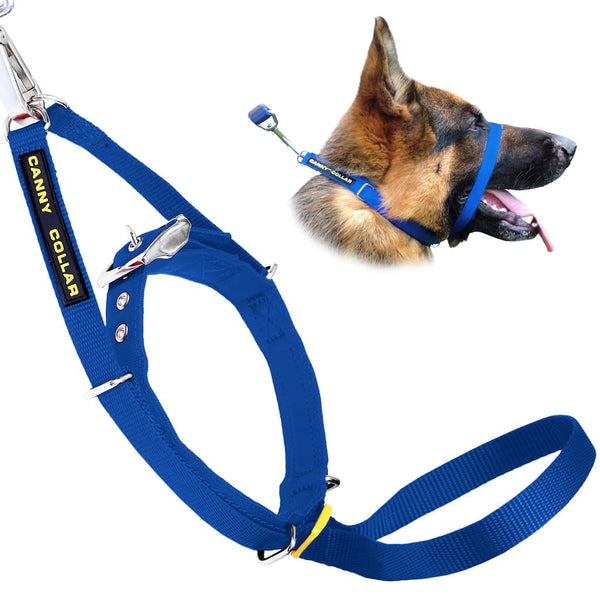 Blue Canny Collar with label shown beside German Shepherd wearing it, attached to lead for no-pull dog walking control.