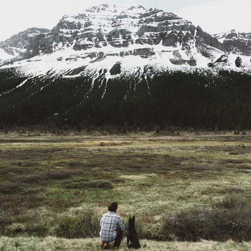 A man and a dog travelling in the mountains