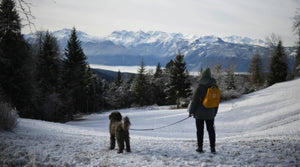 Woman walking dog on lead in snowy landscape during winter