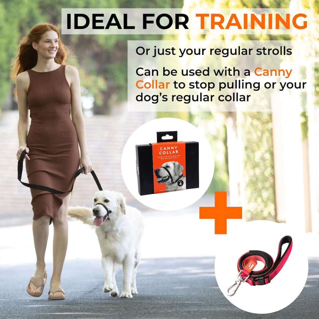 Woman walking large white dog using Canny Connect anti-escape lead for training, showing relaxed, no‑pull control.