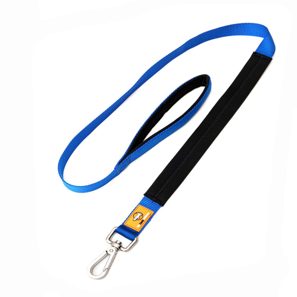 Canny Lead in blue for medium to large dogs with brushed steel clip. Neoprene handle & grip.