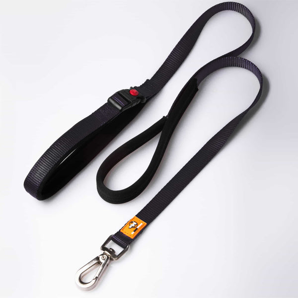 Canny Connect Lead in black for small dogs and puppies. With lockable buckle on handle and brushed steel clip.
