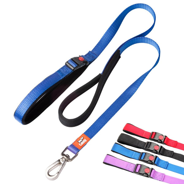 Blue 15mm wide Canny Connect no escape lead for small dogs & puppies, soft padded grip and handle, steel clip, and swatch bar with four available colours.