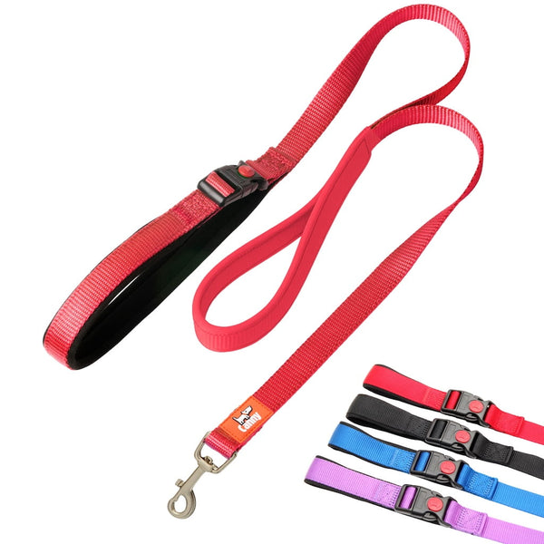 Canny CONNECT Lead - Previous Handle Version