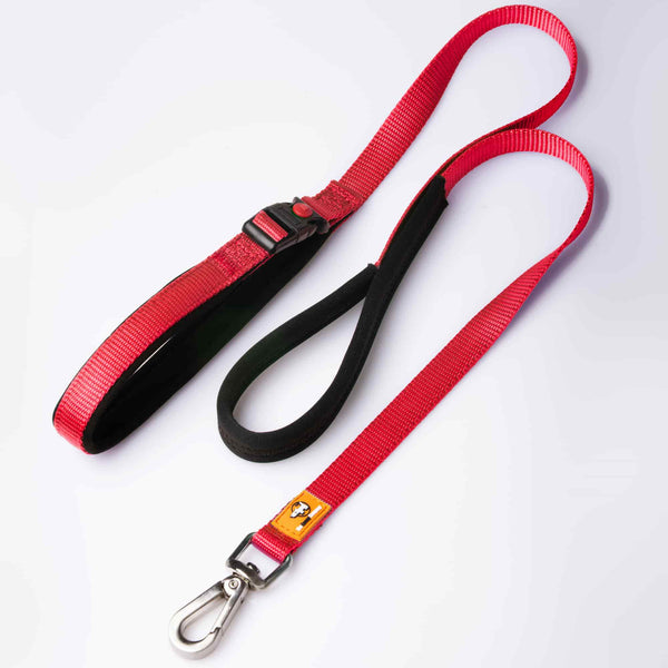 Canny Connect Lead in red for small dogs and puppies. With lockable buckle on handle and brushed steel clip.