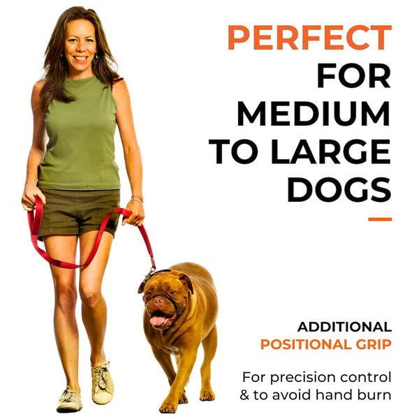 Canny CONNECT Lead - Previous Handle Version