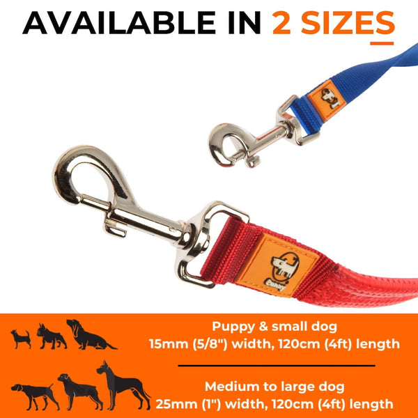 Canny CONNECT Lead - Previous Handle Version