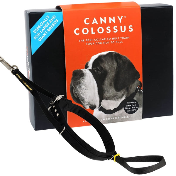 Black Canny Colossus in retail packaging with the wording 'The best collar to stop pulling' next to a large breed dog wearing the collar.