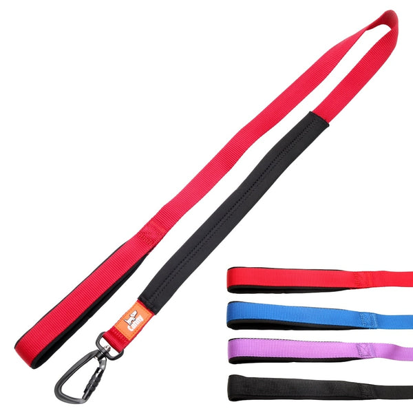 Red 120cm Canny Lead for medium-large dogs with black padded handle and locking carabiner, all colour options shown.