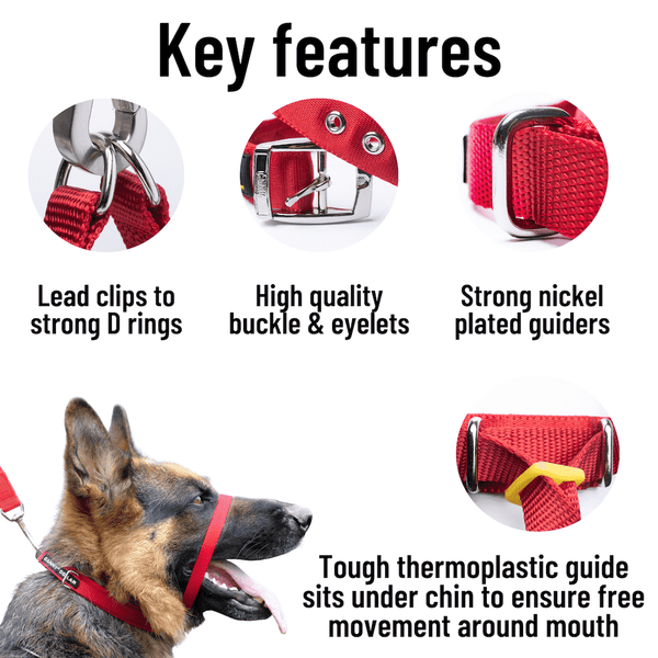 Key features of the Canny Collar dog head collar. Lead clips to strong D rings. High quality buckle and eyelets. Strong nickel plated guiders. Tough thermoplastic guide sits under chin to ensure free movement around mouth.