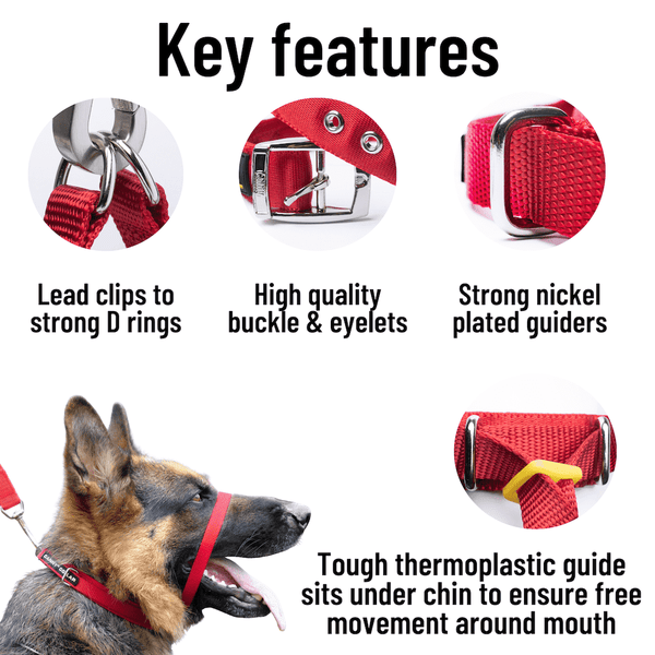 Best head collar for german shepherd deals